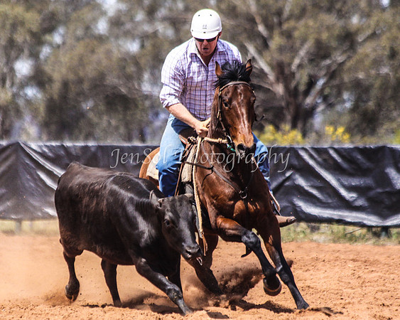 Wwyalong0499