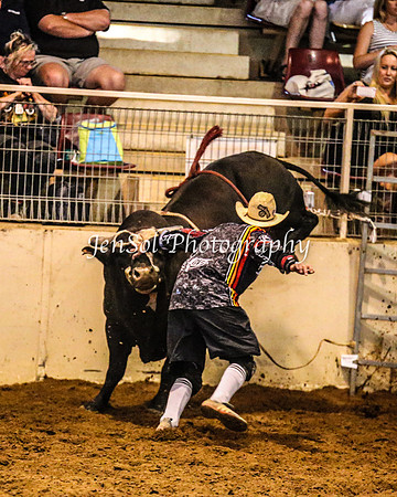 RealDealRodeoFeb2014_0542
