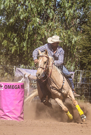 Dubbo2 173