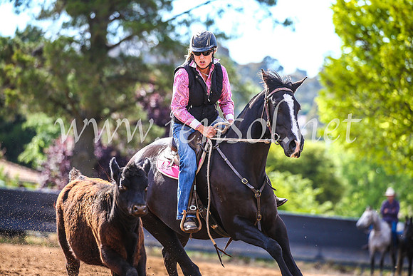 OrangeCampdraft2017_3836