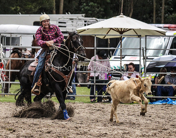 Picton1JS_0220