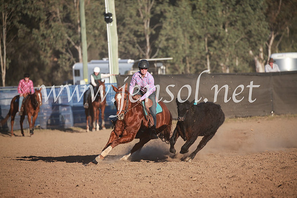 CCCampdraft2016_6818