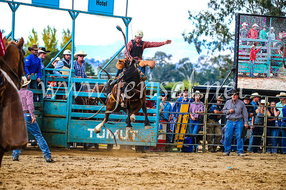 TumutRodeo2017_1499