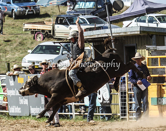 Bungendore2011_1322