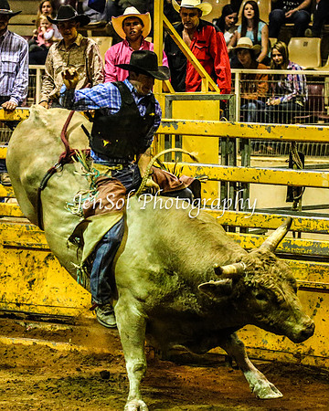 RealDealRodeoFeb2014_2037