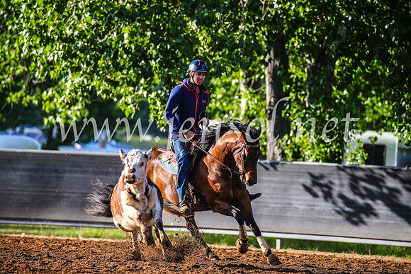OrangeCampdraft2017_3749