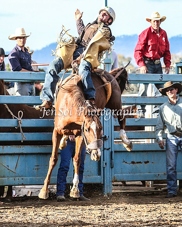TumutRodeo2014_3029