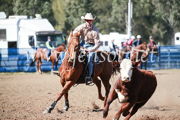 CCCampdraft2016_5683