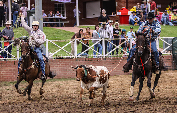 Cooma1_0311