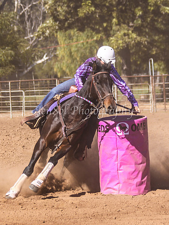 Dubbo2 308