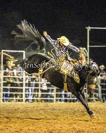 TumutRodeo2014_5260