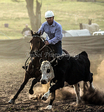 IMG_0041CabSat
