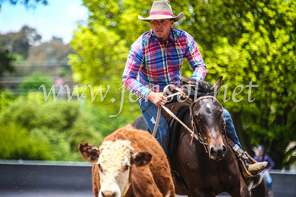 OrangeCampdraft2017_5217