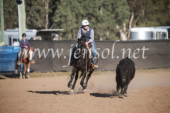 CCCampdraft2016_6649