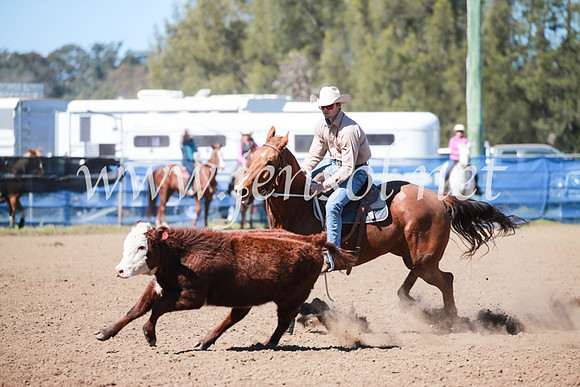 CCCampdraft2016_5677