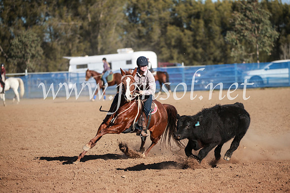 CCCampdraft2016_6475