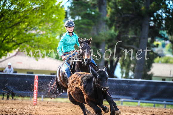 OrangeCampdraft2017_3854