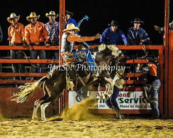 ForbesRodeo2014_3953