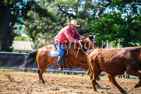 OrangeCampdraft2017_4186