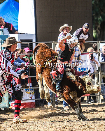 TumutRodeo2014_1618