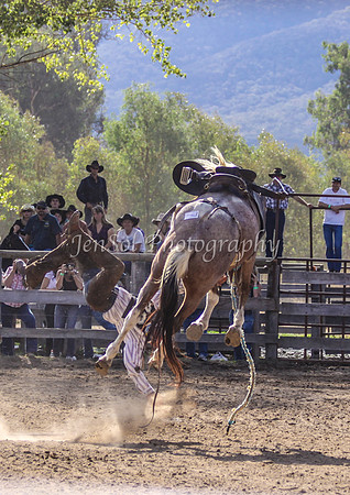 Corryong09 383