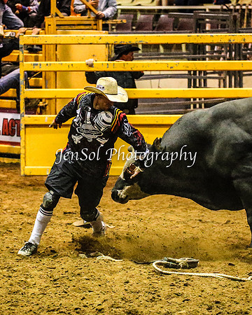 RealDealRodeoFeb2014_1126