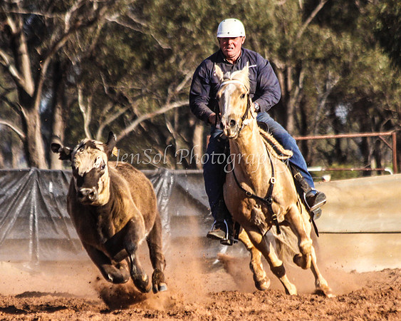 Wwyalong0942