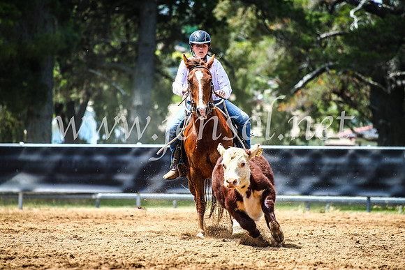 OrangeCampdraft2017_4779
