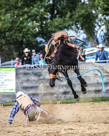 TumutRodeo2014_2606
