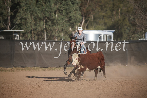 CCCampdraft2016_6716