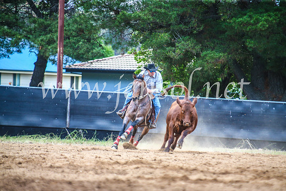 OrangeCampdraft2017_5782