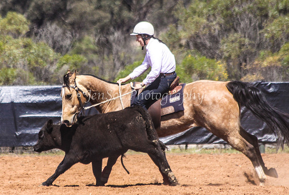 Wwyalong0530