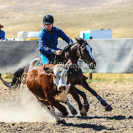 AdaminabyCampdraft2015_0172
