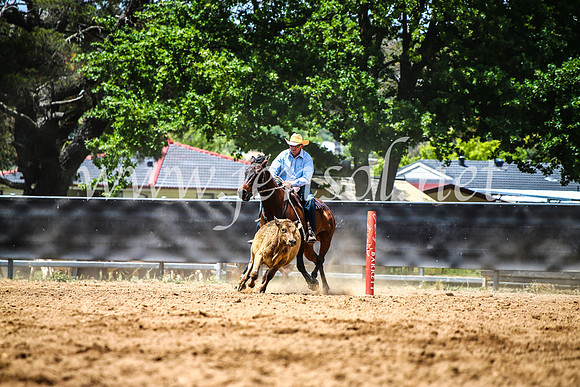 OrangeCampdraft2017_5072