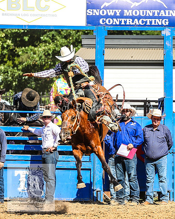 TumbarumbaRodeoNYD2025_1435