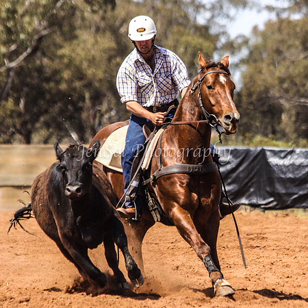 Wwyalong0468