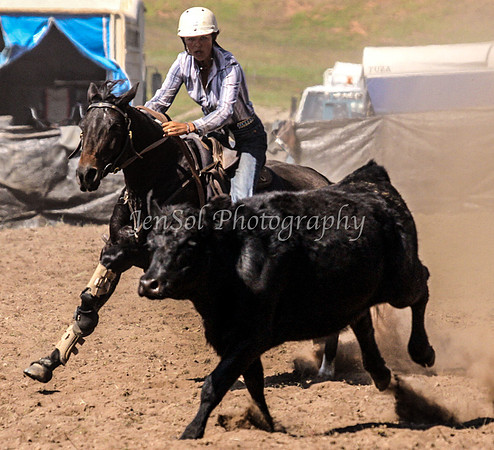 IMG_0323CabSat