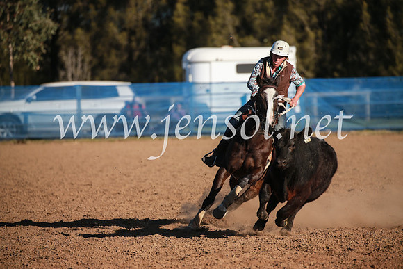 CCCampdraft2016_6620