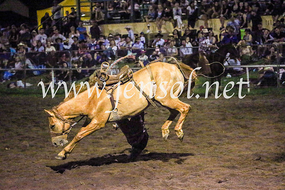 MoruyaRodeo2017_8715