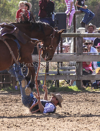 Corryong09 362