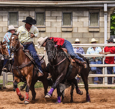 IMG_0454
