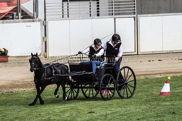 EquitanaSat_0053