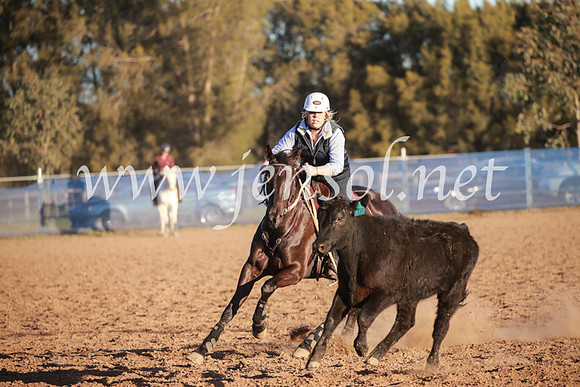 CCCampdraft2016_6907