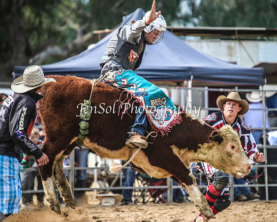 TumutRodeo2014_1053