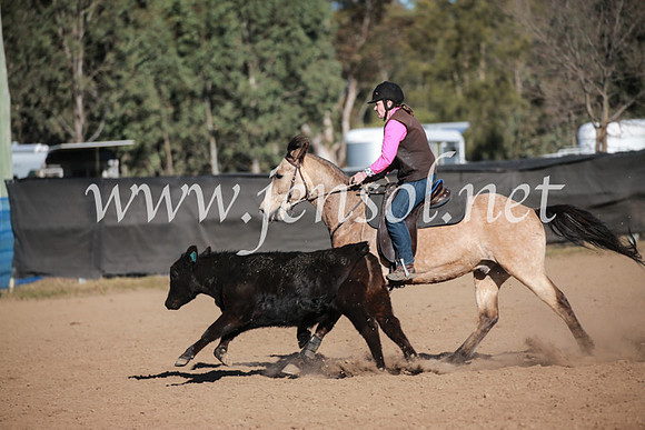 CCCampdraft2016_6506