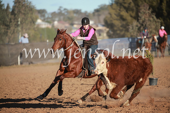 CCCampdraft2016_6861