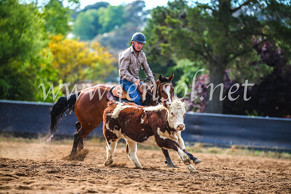 OrangeCampdraft2017_3844