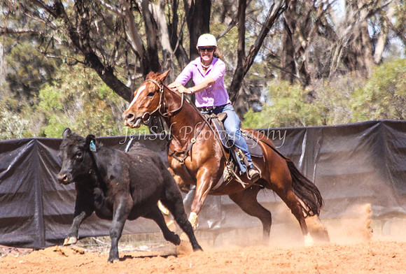 Wwyalong0679