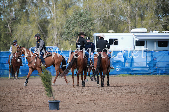 CCCampdraft2016_2577