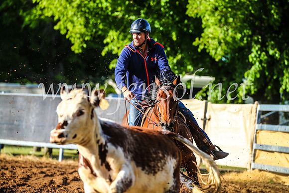 OrangeCampdraft2017_3743